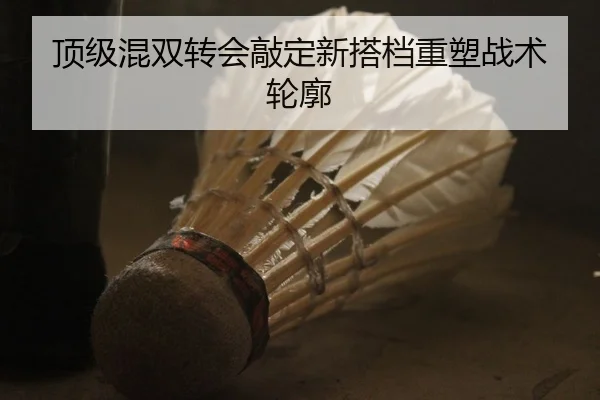 顶级混双转会敲定新搭档重塑战术轮廓